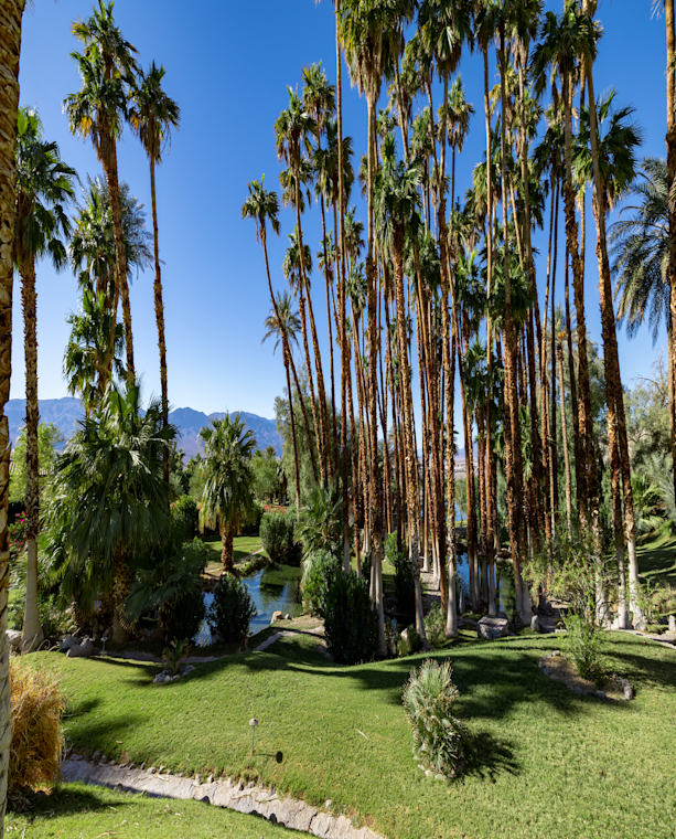 Inn Gardens